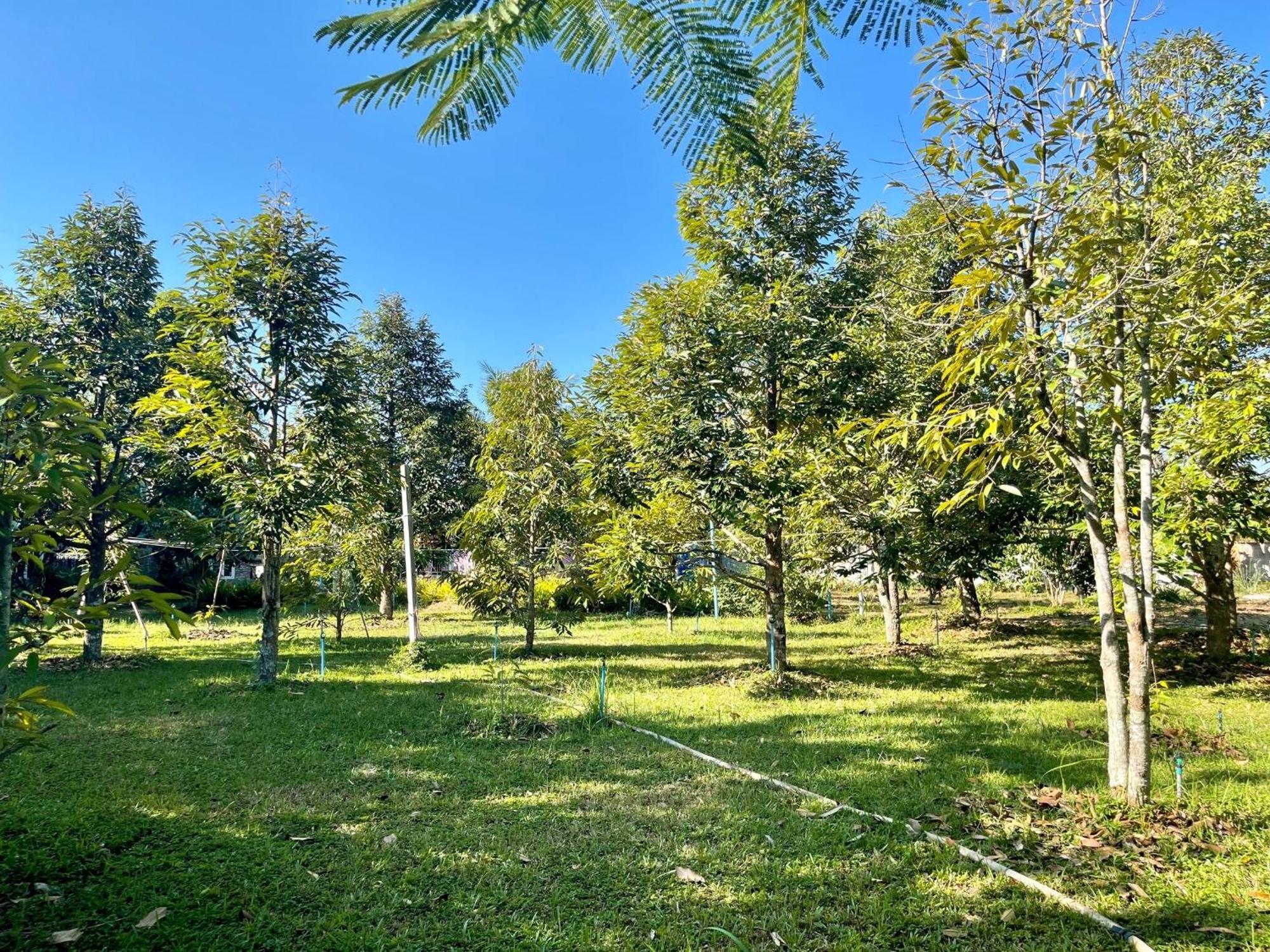 Panpim Resort Noen Hom Bagian luar foto